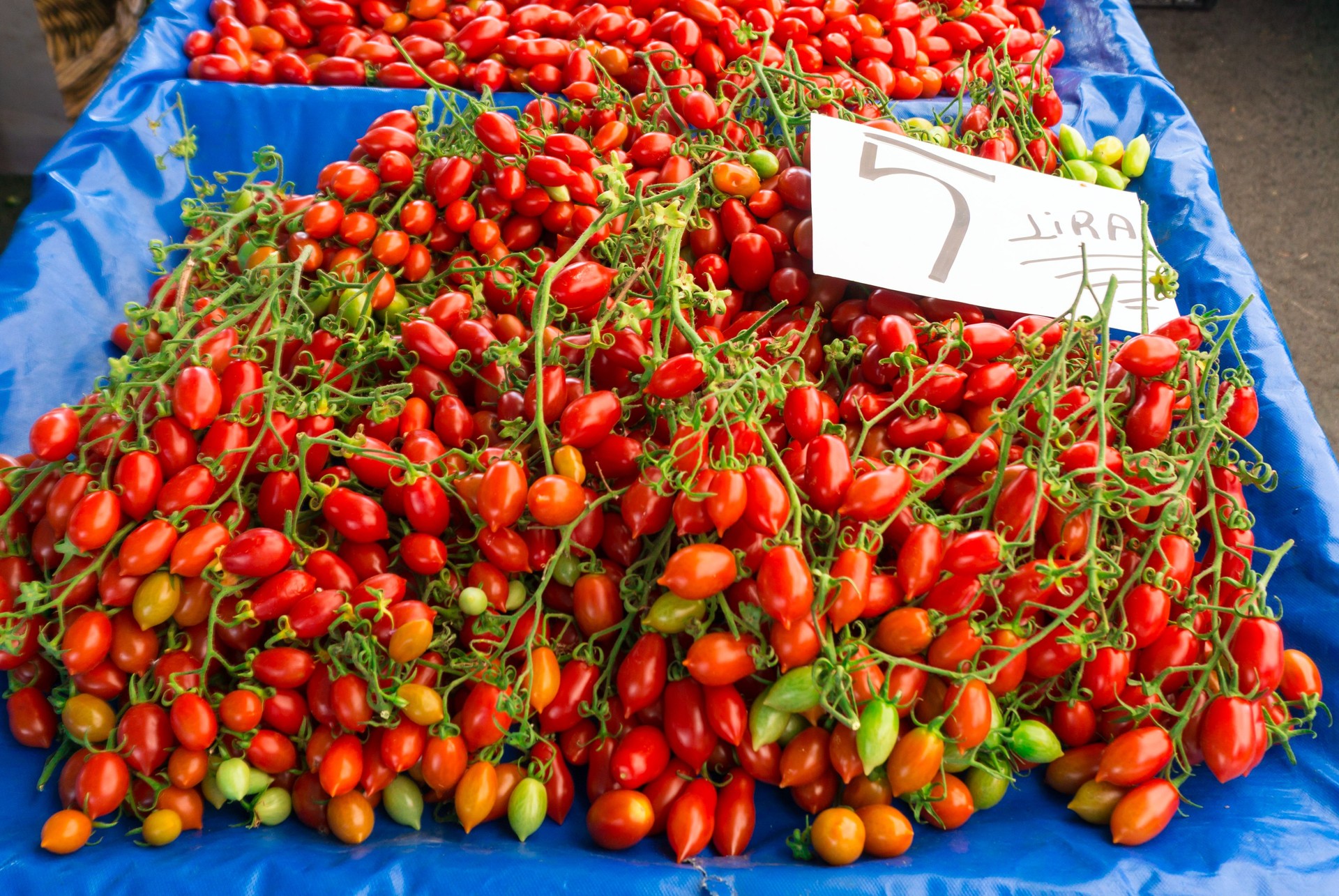Red and green tomatoes are sold at the Eastern Bazaar in Turkey