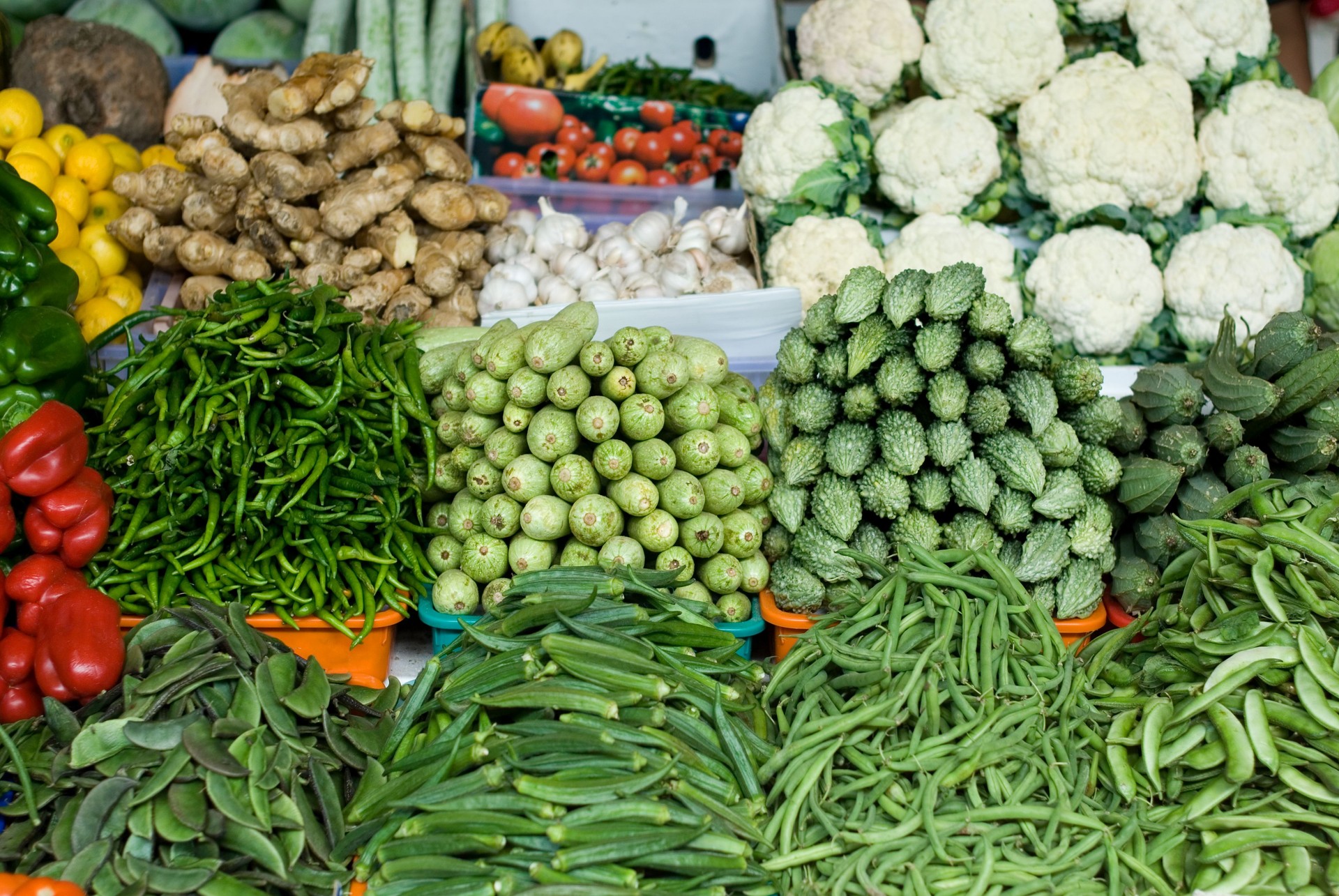 Fresh Vegetables